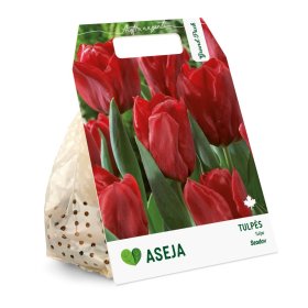 Triumfo tulpių Seadov svogūnėliai ASEJA Grand Pack, 15 vnt., 10/11, 504429, (R)