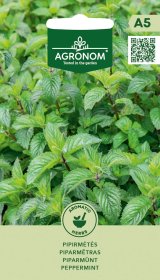 Prieskonių sėklos, AGRONOM pipirmėtės, 0,1 g.