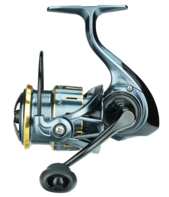 Ritė ROBINSON Match CSX FD 254