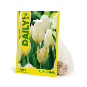Fosterio tulpės Purissima svogūnėliai ASEJA DAILY, 3 vnt., 10/11, 84060510, (R)