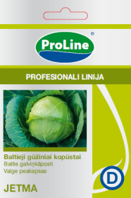 Daržovių sėklos, Baltagūžiai kopūstai PROLINE JETMA, 10 g. D