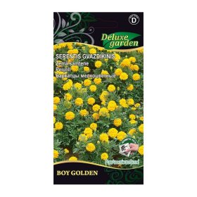 Gėlių sėklos, serentis gvazdikinis Boy golden, 1733, D