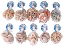 Kriauklės dekoravimui, 10 skirtingų variantų, 100 g