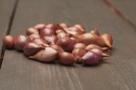 Valgomųjų svogūnų sodinukai Rosanna, ASEJA, 14/21 mm, 0,5 kg