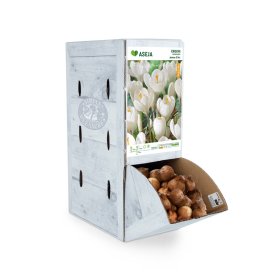 Didžiažiedžio kroko Jeanne D'Arc svogūnėlis ASEJA, 1 vnt., 7/8, Rackbox, 64042207, (R)