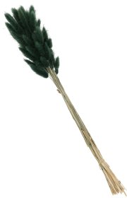 Džiovintų žolių puokštė, žalios sp., 65 cm