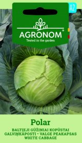 Daržovių sėklos, AGRONOM Kopūstai baltieji gūžiniai POLAR, 2 g.