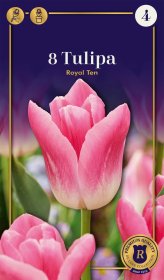 Triumfo tulpių Royal Ten svogūnėliai, 8 vnt., 12/+, Supreme, 618502, (R)