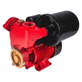 Slėgio kėlimo siurblys  ir slėginis bakas RAIDER RD-WP550, kėlimo aukštis 58 m, našumas 45 l/min, galia 550 W 
