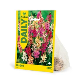 Iksijos Mix svogūnėliai ASEJA DAILY, 10 vnt., 4/5, 504450, (R)