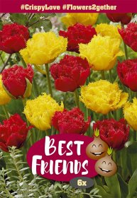 Gėlių svogūnėlių rinkinys Crispy Love, 6 vnt., Best Friends,  302698, (R)