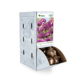 Kirgizinio dekoratyvinio česnako svogūnėlis ASEJA, 1 vnt., 12/+, Rackbox, 32924612, (R)