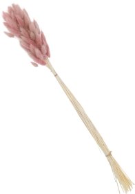 Džiovintų žolių puokštė, rožinės sp., 65 cm