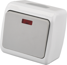 Jungiklis ORRO A550190005, 1 klavišo, paviršinis, su LED indikatoriumi, IP44, 10A 250V, pilkos spalvos, E8005-01N