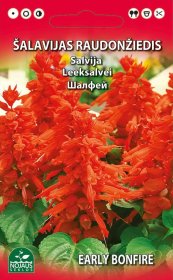 Sėklos daržovių, šalavijas raudonžiedis, 0,2 g, 02-07 mėn