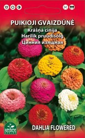 Gėlių sėklos, gvaizdūnė puikioji, 1 g., 0735