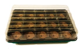 Plastikinė daigykla su dangčiu ir durpinėmis tabletėmis, (15 vnt.), daigykla 36 x 23 cm.