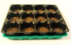 Plastikinė daigykla su durpinėmis tabletėmis, (12 vnt.), daigykla 20,5 x 17 cm.