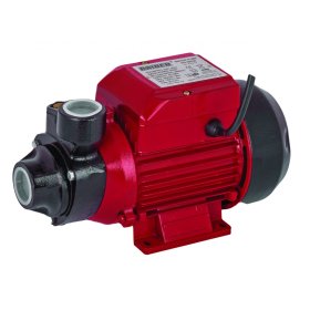 Vandens siurblys RAIDER RD-WP60, įsiurbimo gylis 8 m, kėlimo aukštis 35 m, našumas 40 l/min, galia 500 W