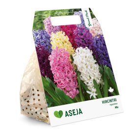 Hiacintų Mix svogūnėliai ASEJA Grand Pack, 7 vnt., 14/15, 504375, (R)