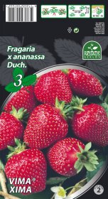 Braškių daigai (frigo) Vima® Xima, 3 vnt.