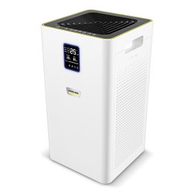 Oro valytuvas KARCHER AF 30