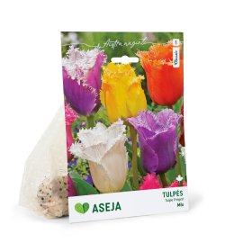 Šerkšnotųjų tulpių Mixed svogūnėliai ASEJA Classic, 3 vnt., 10/11, (R)