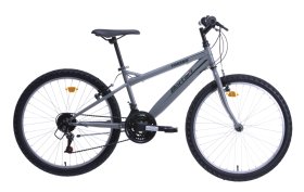 Dviratis MTB TORINO, vyriškas, 18 pavarų, 24 dydis