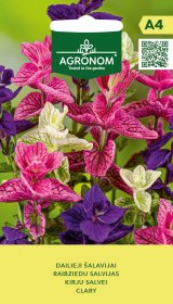 Gėlių sėklos, AGRONOM šalavijai dailieji, 0,4 g.