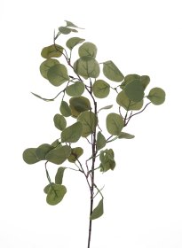 Dirbtinis augalas eukaliptas NOVELLY HOME DY1-2684Z, žalios sp., aukštis - 70 cm