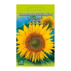 Daržovių sėklos, saulėgrąža valgoma, 5 g., 1664
