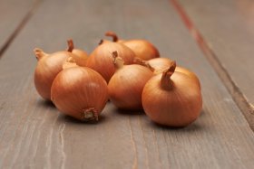 Valgomųjų svogūnų (šalotinių) sodinukai Golden Gourmet, ASEJA,  22/48, 0,5 kg