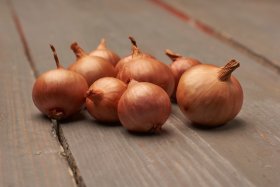 Valgomųjų svogūnų (šalotinių) sodinukai Red Sun, ASEJA, 22/48, 0,5 kg