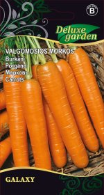 Daržovių sėklos, morkos valgomosios Galaxy, 2 g., 4123, B