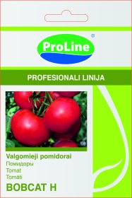 Sėklos daržovių, pomidorai PROLINE BOBCAT H, (02-07 mėn). C