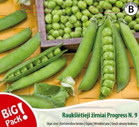 Daržovių sėklos, žirniai raukšlėtieji Progress N.9, 20 g., 0506, B