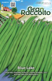Daržovių sėklos, ORTOVIVO vijoklinės daržinės pupelės Blue Lake, 50 g., F