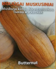 Daržovių sėklos, ORTOVIVO muskusiniai moliūgai Butternut, 2,2 g., C
