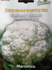 Daržovių sėklos, ORTOVIVO žiediniai kopūstai Marzatico, 1 g., C