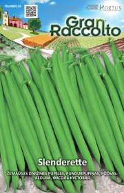 Daržovių sėklos, ORTOVIVO žemaūgės daržinės pupelės Slenderette, 50 g., F