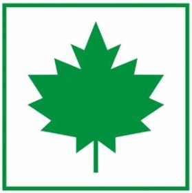 Lipdukas, klevo lapas