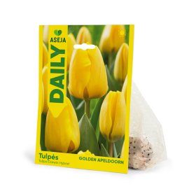 Darvino hibridinių tulpių Golden Apeldoorn svogūnėliai ASEJA DAILY, 3 vnt., 10/11, 84060310, (R)