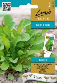 Daržovių sėklos, LUCIA ELITE ELN, gražgarstės sėjamosios, Rucola