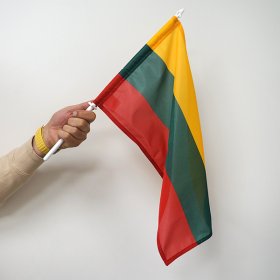 Lietuvos vėliavėlė, su koteliu, 30 x 50 cm