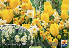 Gėlių svogūnėlių rinkinys Spring Blend, 25 vnt., Landscape Bag , 80982310, (R)