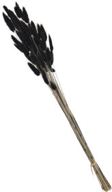 Džiovintų žolių puokštė, juodos sp., 65 cm