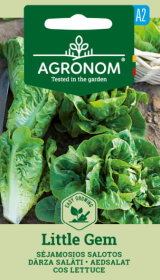 Daržovių sėklos, AGRONOM salotos sėjamosios gūžin. Little Gem