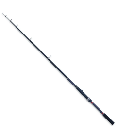 Meškerė ROBINSON Carbonic Tele - Spin, 2,10 m, 10-30 g