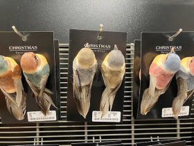 Kalėdinė dekoracija Paukštelis, 2 vnt., su segtuku, su plunksnomis, 3 skirtingos sp., 12,5 x 4 x 4,5 cm