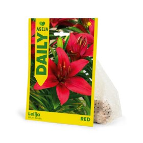 Azijinės lelijos Red svogūnėlis ASEJA DAILY, 1 vnt., 12/14, 83991812, (P)